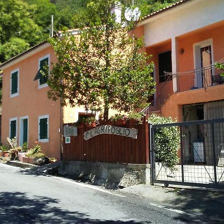 Magliolo Casa Vacanze L'Agrifoglio B&B 외부 사진