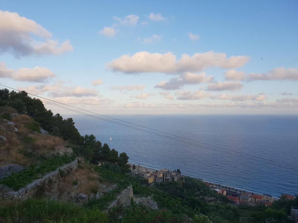 Magliolo Casa Vacanze L'Agrifoglio B&B 외부 사진