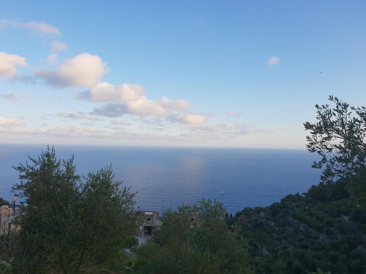 Magliolo Casa Vacanze L'Agrifoglio B&B 외부 사진