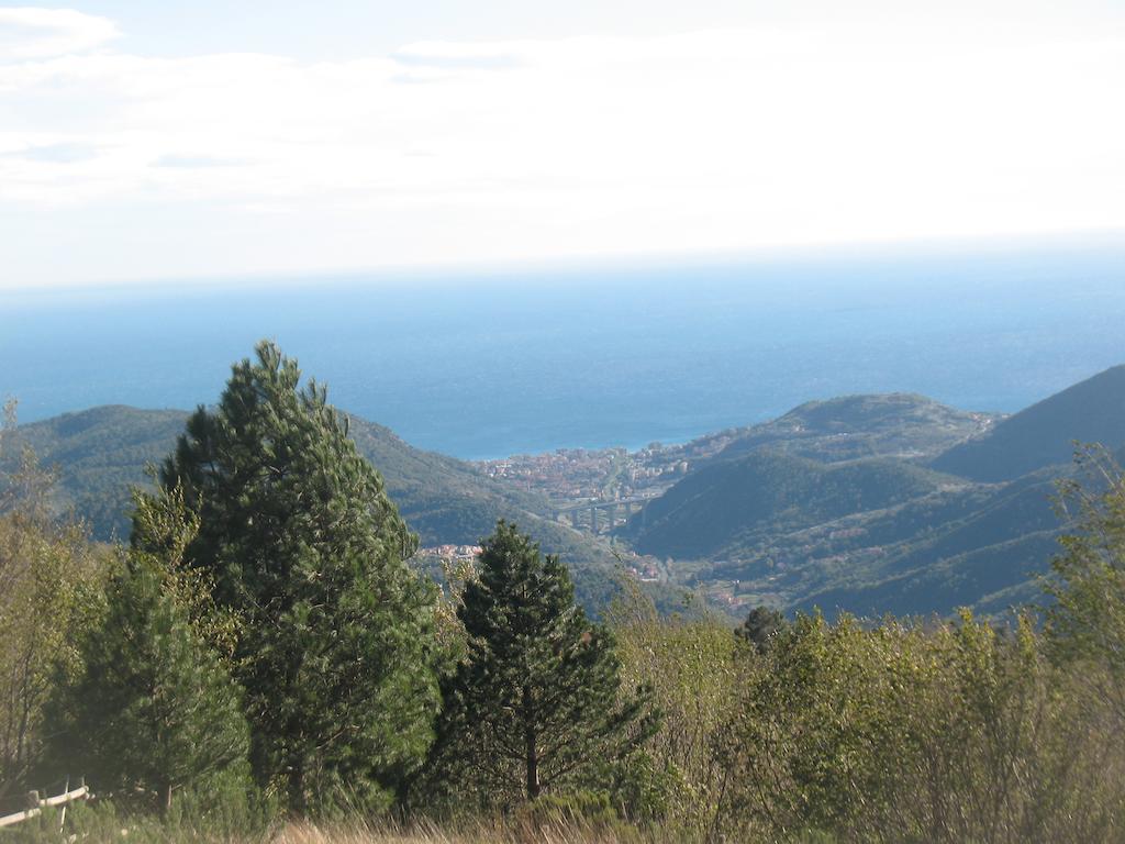 Magliolo Casa Vacanze L'Agrifoglio B&B 외부 사진
