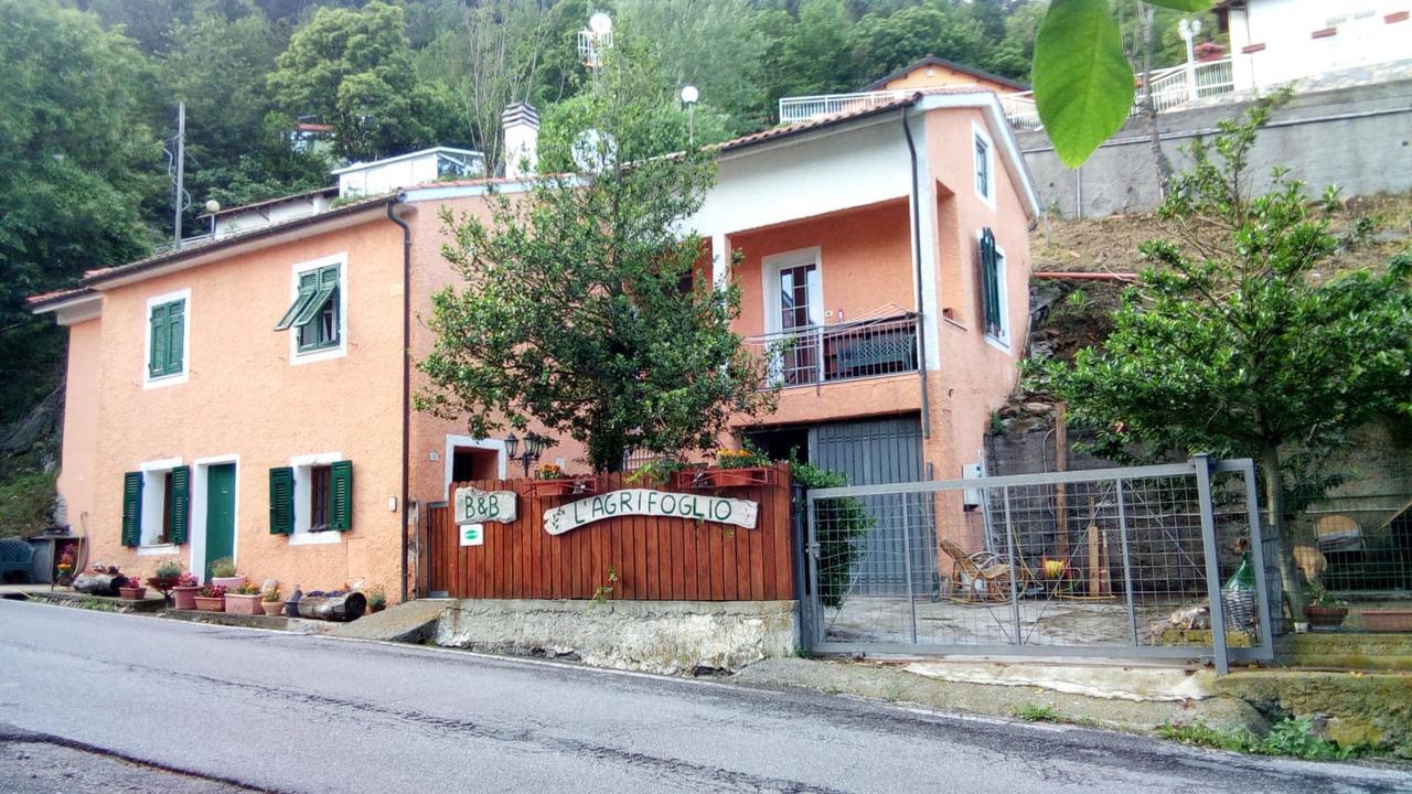 Magliolo Casa Vacanze L'Agrifoglio B&B 외부 사진